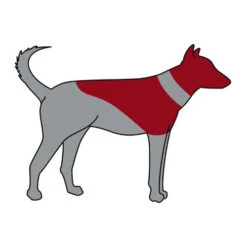 Trixie Opblaasbare Beschermkraag 10 Trixie Opblaasbare Beschermkraag -Honden Benodigdheden trixie opblaasbare beschermkraag 101866 0500 none