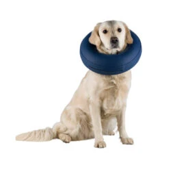 Trixie Opblaasbare Beschermkraag 12 Trixie Opblaasbare Beschermkraag -Honden Benodigdheden trixie opblaasbare beschermkraag 101872 0500 none