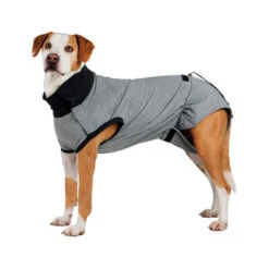 Trixie Operatie Hondenjas -Honden Benodigdheden trixie operatie hondenjas 95186 0500 none