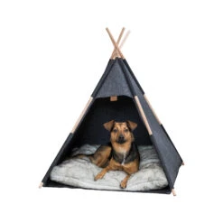 Trixie Tipi -Honden Benodigdheden trixie tipi 205724 2000 none