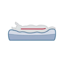 Trixie Vitaal Matras Bendson - Donkergrijs/Lichtgrijs -Honden Benodigdheden trixie vitaal matras bendson donkergrijslichtgrijs 178372 1000 none