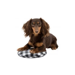 Trixie Warmtekussen -Honden Benodigdheden trixie warmtekussen 145868 1000 none