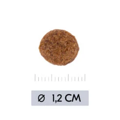 Vetality Hypoallergenic - Hondenvoer 19 Vetality Hypoallergenic - Hondenvoer -Honden Benodigdheden vetality hypoallergenic hondenvoer 195473 1000 none