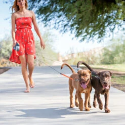 Wigzi Dual Doggie 2.0 -Honden Benodigdheden wigzi dual doggie 20 167836 1500 none