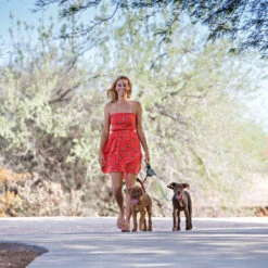 Wigzi Dual Doggie 2.0 -Honden Benodigdheden wigzi dual doggie 20 167839 1500 none