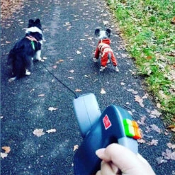 Wigzie Dual Doggie 3.0 -Honden Benodigdheden wigzi dual doggie 30 167845 0500 none