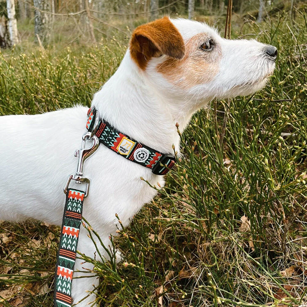 Woolly Wolf Woodland Hondenriem 5 Woolly Wolf Woodland Hondenriem - Afbeelding 3