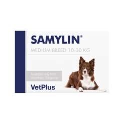 Vetplus Samylin - Tabletten 7 Vetplus Samylin - Tabletten -Honden Benodigdheden xfSsZoVxVsNoATo1yJYpQqTjxrWO9m metadmV0cGx1c19zYW15bGluXzIwNDUxMl8wNTAwX25vbmUucG5n