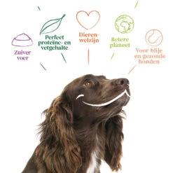 Yarrah - Bio Natvoer Hond Kuipje Chunks Vega -Honden Benodigdheden yarrah bio natvoer hond kuipje chunks vega 200843 1000 none