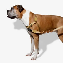 Zee.Dog Soft Walk Harness -Honden Benodigdheden zeedog soft walk harness 200678 1000 none