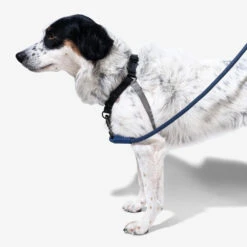 Zee.Dog Soft Walk Harness -Honden Benodigdheden zeedog soft walk harness 200684 1000 none