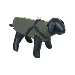 Nobby Hondenjas Sobak -Honden Benodigdheden zfANZ9X8QmVKtjtz2X3OCjSc3mM0kN metabm9iYnlfaG9uZGVuamFzX3NvYmFrXzIxNjkxOF8wNTAwX25vbmUuanBn