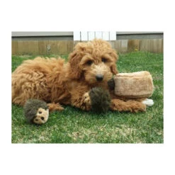 ZippyPaws Zippy Burrow Hedgehog Den -Honden Benodigdheden zippypaws zippy burrow hedgehog den 221069 0500 none